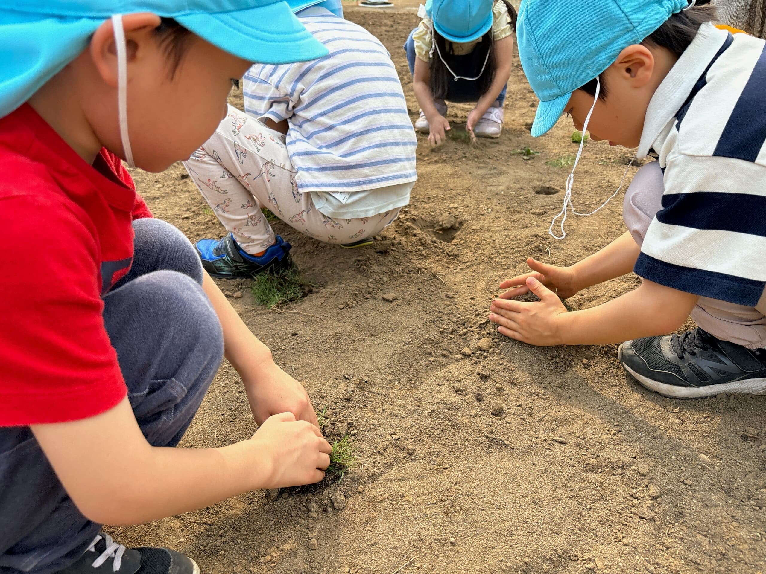 いつもの公園に、お礼がしたい！芝の植えつけ体験｜花房山目黒駅前保育園333